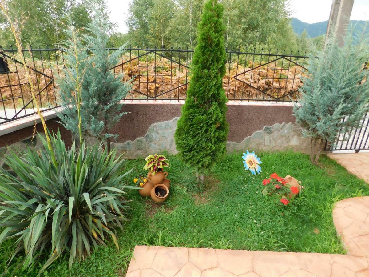 Pensiunea Casa Domnitei Baia de Fier Ngoại thất bức ảnh