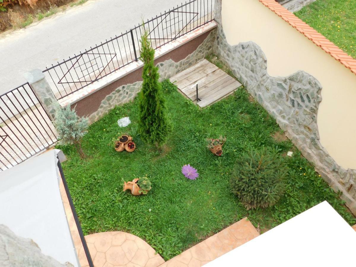 Pensiunea Casa Domnitei Baia de Fier Ngoại thất bức ảnh