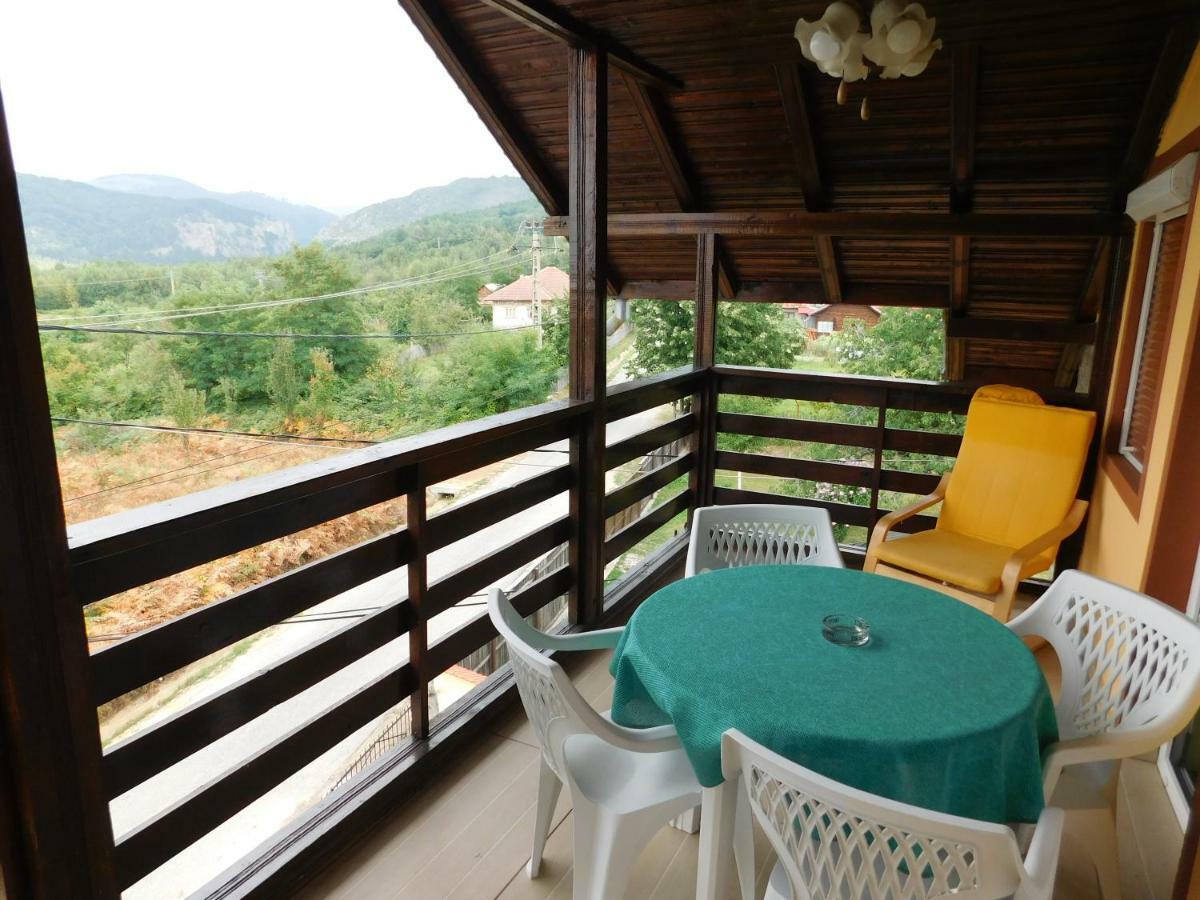 Pensiunea Casa Domnitei Baia de Fier Ngoại thất bức ảnh