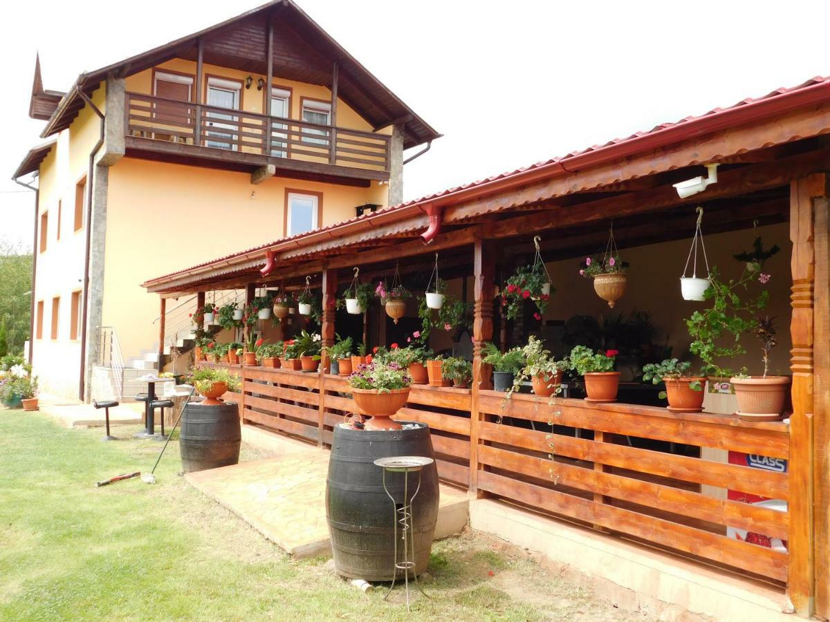 Pensiunea Casa Domnitei Baia de Fier Ngoại thất bức ảnh